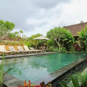 https://bali-sunshine-homestay-gallery.ubudhotelsnow.com
